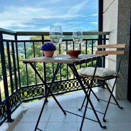 Vistas Miño