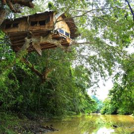 Kumbuk Tree House Yala Safari Place