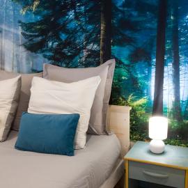 Ensisheim में, होटल L'Eden, studio loft zen