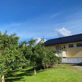 Sjarmerende hus i havgapet i Selje, viešbutis mieste Salt