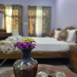 Jan Mahal