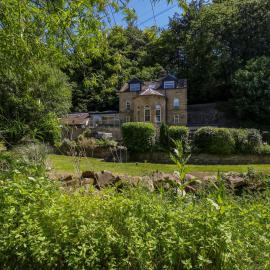 Belvedere Farm