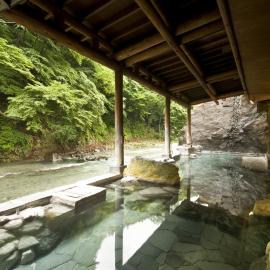 Shima Yamaguchikan, Hotel in Nakanojo