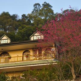 Xianshan Homestay, khách sạn ở Shitan