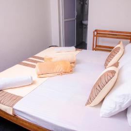Rose Palace, hotel u gradu Nuvara Elija