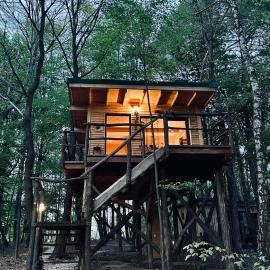Living Forest Resort, מלון במורבסקה טופליצה