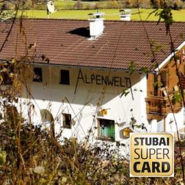 Apartment Alpenwelt, hotel in Neustift im Stubaital