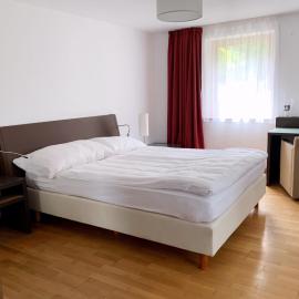 Appartement mit Terasse、アルテンシュタイクのホテル