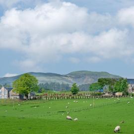 Milton Farm, hotel a Buchanty