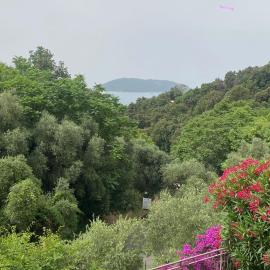 Oasi Verde 1