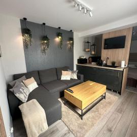 Luxury Studio, hotel in Iaşi