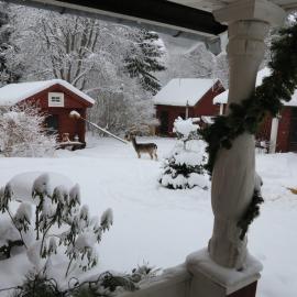 Olsbacka cottage