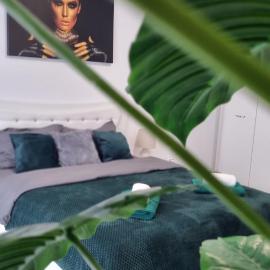 Apartament Ariana Rasnov, hotel in Râşnov