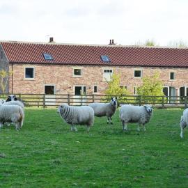 Luxury Barn with sauna near York welcoming families, friends, groups, хотел в Йорк