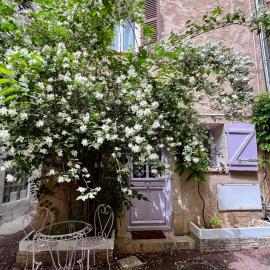 La maison Bohème