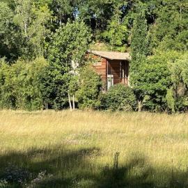 Une chambre d'hôte dans les bois