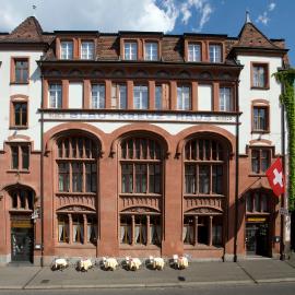 Central City Hotel Rochat，巴塞爾的飯店