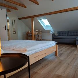 LOFT Apartment