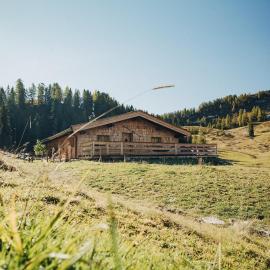 L.A. MOUNTAIN LODGE, hotel Loferben