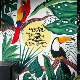 CASA BLANCA Hostal, hotel in Minca