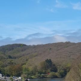 Driftwood in Looe River view and parking, hotel in Looe