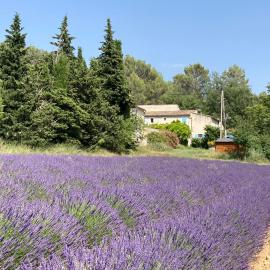 Maison au Colorado Provençal, hotel en Rustrel