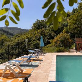 La Roseraie - Gite avec piscine en Cévennes
