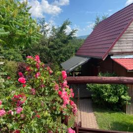 Agroturystyka Nad Stawem