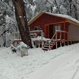 Cabañas Termas de Chillán