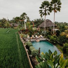 Padi Bali Retreat, hotel in Payangan