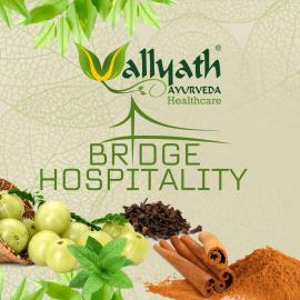 Vallyath Ayurveda By BRDGE HOSPITALITY, hotel in Cochin