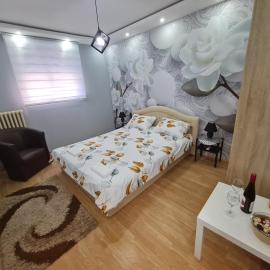 Stan na Dan Nice Pozarevac, hotel in Požarevac