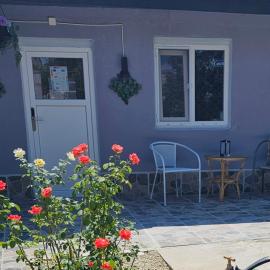 The Purple House-Villa in Bucharest