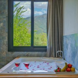 Infinity Olive Villa