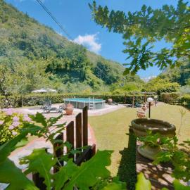 Casa Vacanze IL BOSCACCIO "Casa Serena"