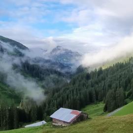 Warth am Arlberg में, होटल Älpler Stuba Appartements am Lärchenhof