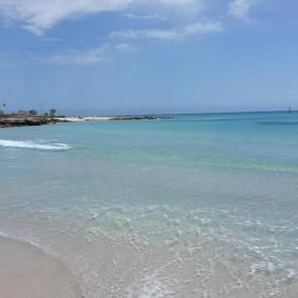 Dar Rawen