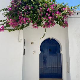 Dar Angi, hotell i Kelibia