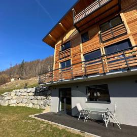 The Haven Montriond jardin 4 personnes, hotel in Montriond