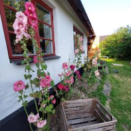 Viesnīca Fridfullt sommarhus mitt på Österlen pilsētā Gärsnäs