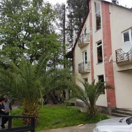 Palm trees, hotel a Ureki