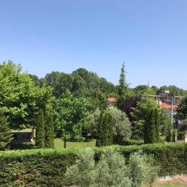 Dimeli 3