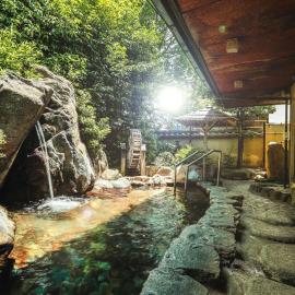 Nara Park Hotel, hotel en Nara