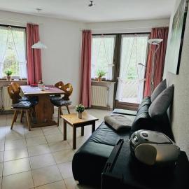 Residenz Schauinsland Todtnauberg - Fewo 17 - Spielzimmer für Kinder - Nähe Feldberg