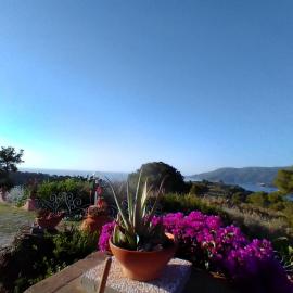 Gavila's Residenza Turistico Alberghiera, hotel v destinácii Porto Azzurro