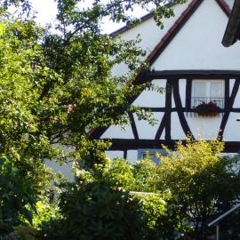 Ferienhaus 1534