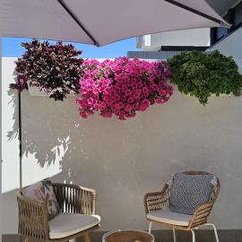 Albayda Garden