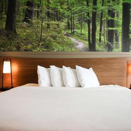 The Inn At Tree City, BW Signature Collection, готель у місті McMinnville