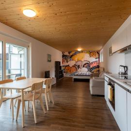 FLEXhome your central, calm and cosy place in Dornbirn