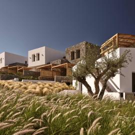 Anemelia Hotel Mykonos, hotel en Playa de Elia
